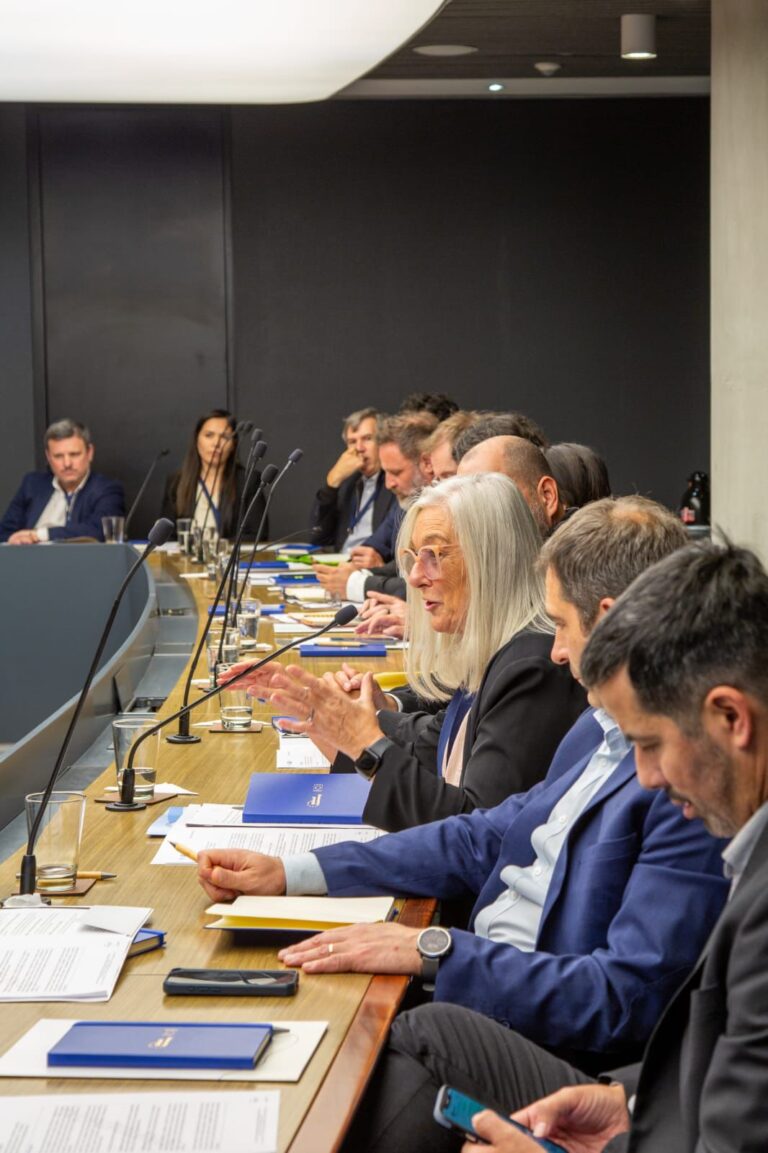 Reunión sobre Hidrógeno Verde en Chubut con senadora Edith Terenzi y representantes de la Unión Europea