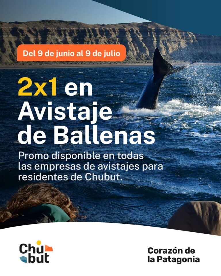 Ballena Franca Austral en Península Valdés, Chubut