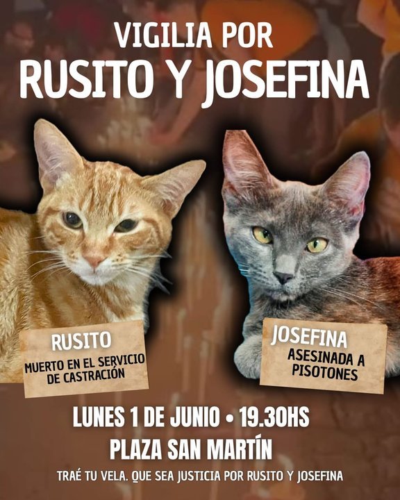Manifestantes con velas en la plaza San Martín de Comodoro Rivadavia durante una vigilia por animales