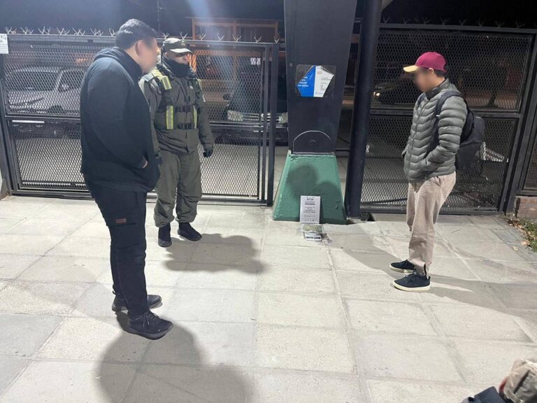 Perro detector de narcóticos de Gendarmería Nacional durante un control de rutina