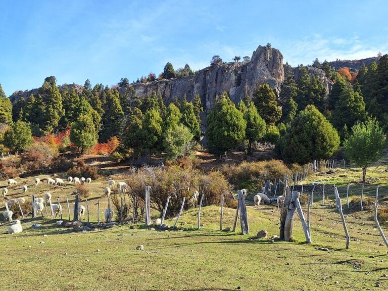 Formación rocosa Piedra de la Aguja en Alto Río Percy, Chubut