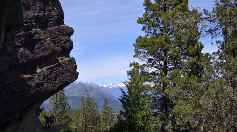 Brigadistas asistiendo a una mujer lesionada en sendero de montaña en El Bolsón