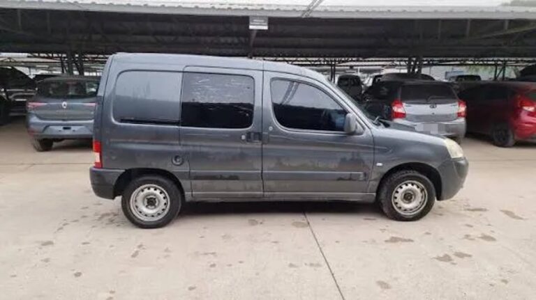 Perra Jade con fractura en pata tras atropello en Trelew