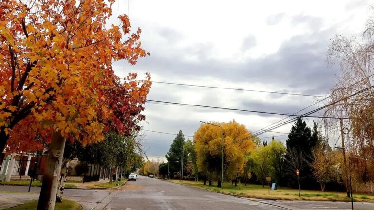 Paisaje invernal en Neuquén capital con cielo cubierto y baja temperatura