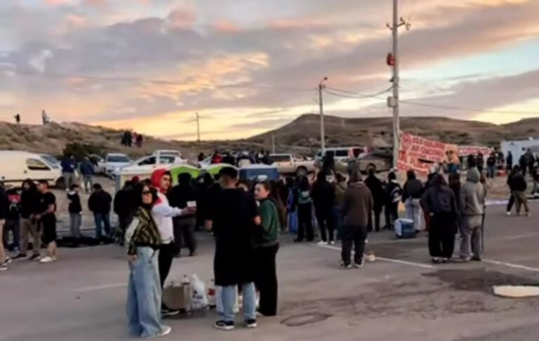 Multitud de fanáticos en el Predio Ferial de Comodoro Rivadavia durante el recital de Los Fundamentalistas del Aire Acondicionado
