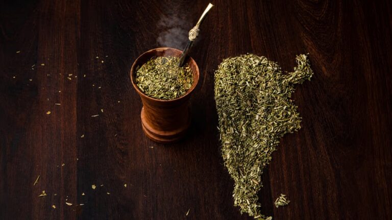 Muestras de yerba mate en el Museo del Mate durante el Mundial de la Yerba Mate